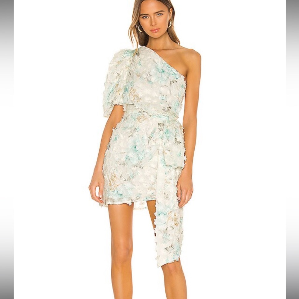 Revolve. Elliatt Nala dress in multi